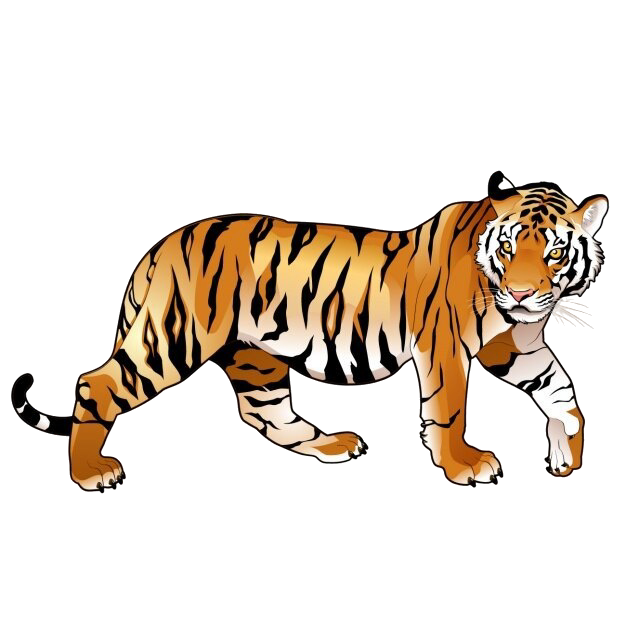 Tiger Tiger
